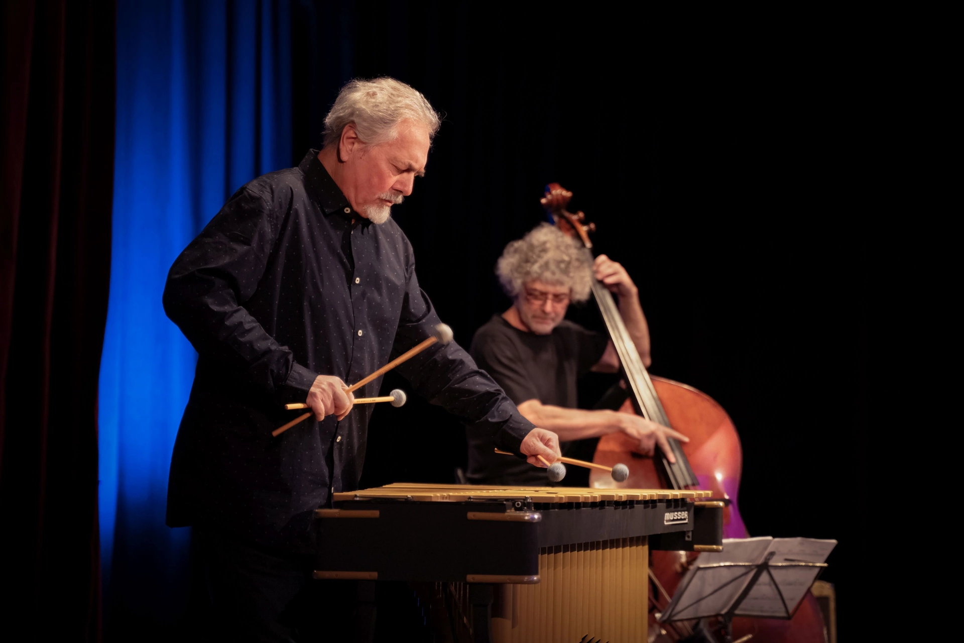 radek-krampl-vibe-fantasy-trio-30-let-tour